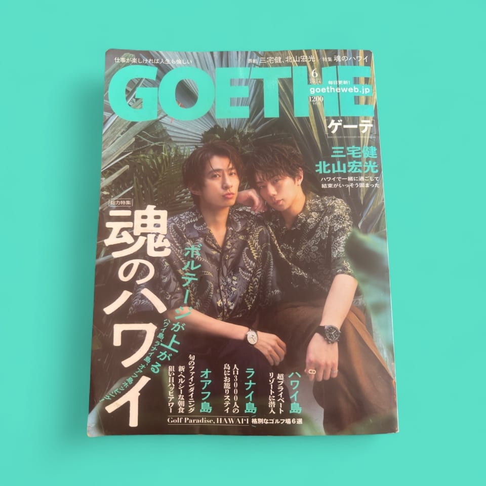 A magazine cover for GOETHE, featuring two men in Hawaiian shirts against a tropical background.